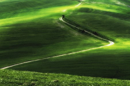 gli insegnanti sono strade