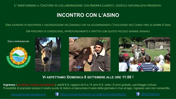 Incontro con l'asino Agriturismo il Castoro