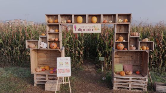 Pumpkin Patch di Tulipania