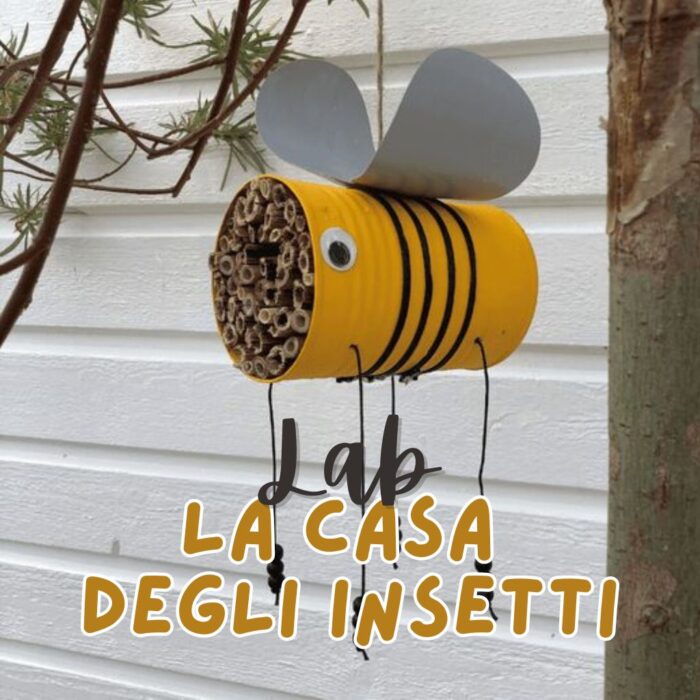 La casa degli insetti